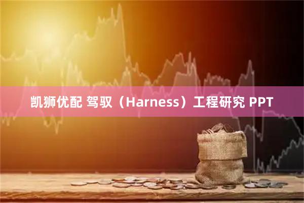 凯狮优配 驾驭（Harness）工程研究 PPT